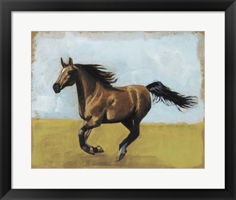 Framed Equestrian Studies II Print