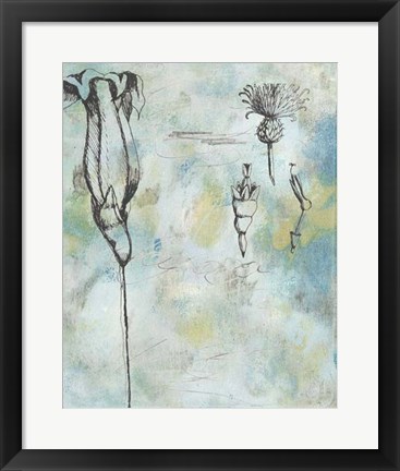 Framed Botanical Abstract II Print