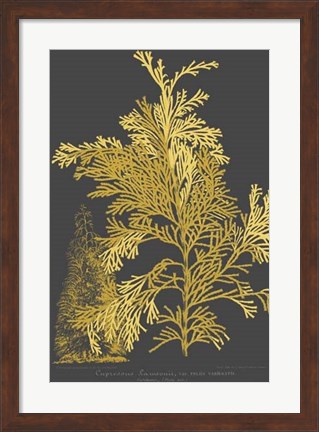 Framed Trees &amp; Leaves I Print