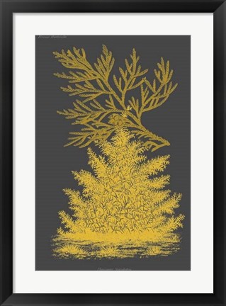 Framed Trees &amp; Leaves II Print