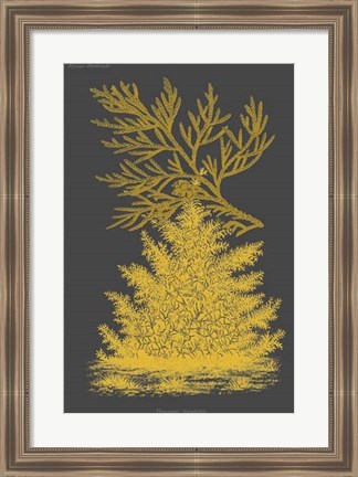 Framed Trees &amp; Leaves II Print