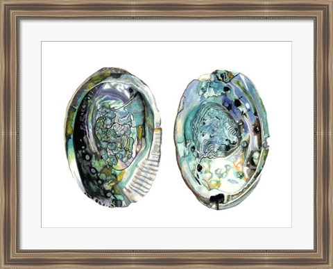 Framed Abalone Shells I Print