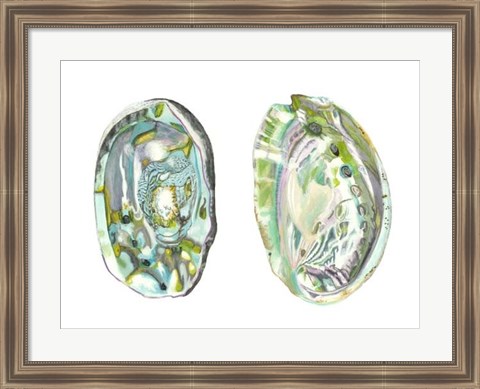 Framed Abalone Shells II Print