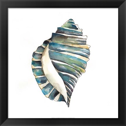 Framed Aquarelle Shells I Print