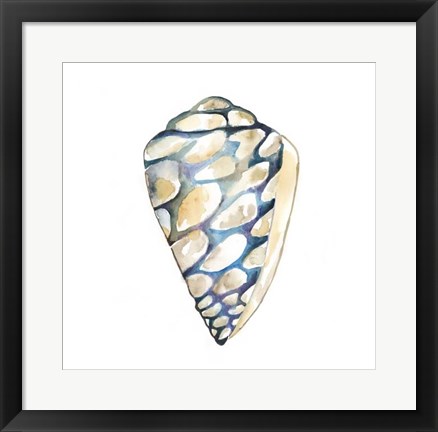 Framed Aquarelle Shells III Print