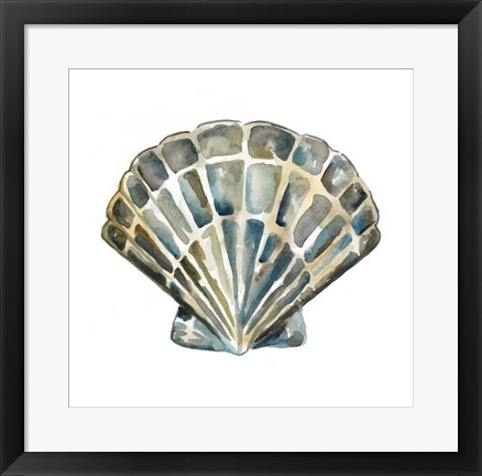 Framed Aquarelle Shells IV Print