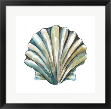 Framed Aquarelle Shells VI Print