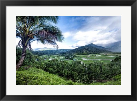 Framed Hanalei Valley Print