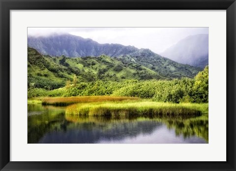 Framed Coastal Marsh II Print