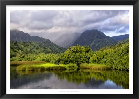 Framed Coastal Marsh IV Print