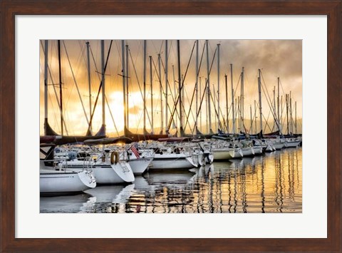 Framed Backlit Marina Print