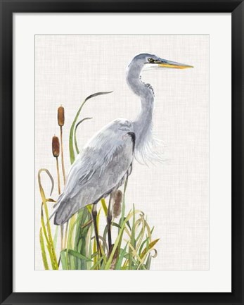 Framed Waterbirds &amp; Cattails I Print