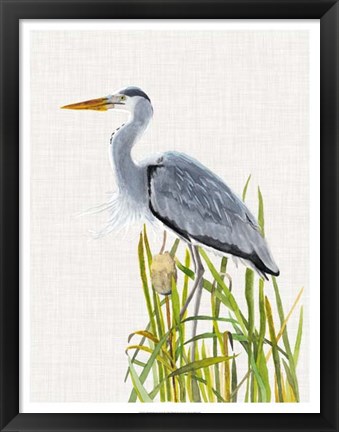 Framed Waterbirds &amp; Cattails II Print