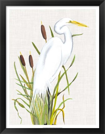 Framed Waterbirds &amp; Cattails III Print