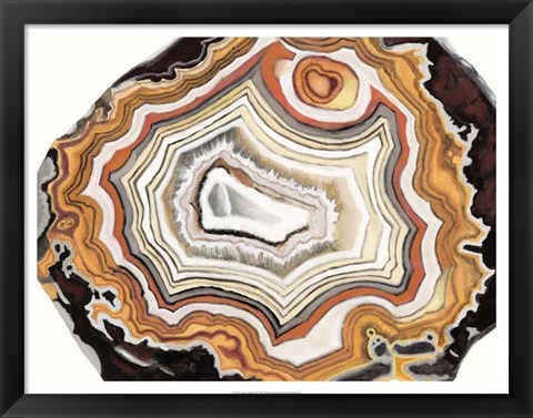 Framed Agate Studies IV Print