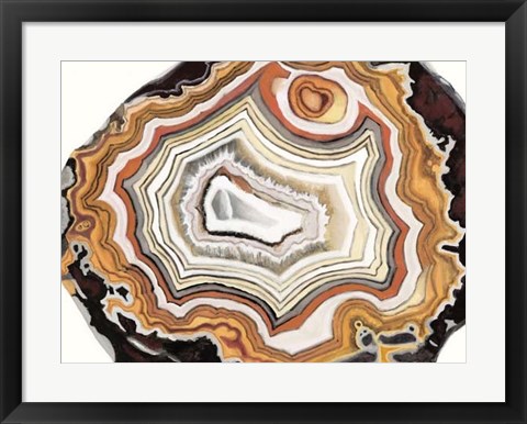 Framed Agate Studies IV Print