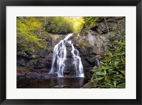 Framed Spruce Flat Falls Print