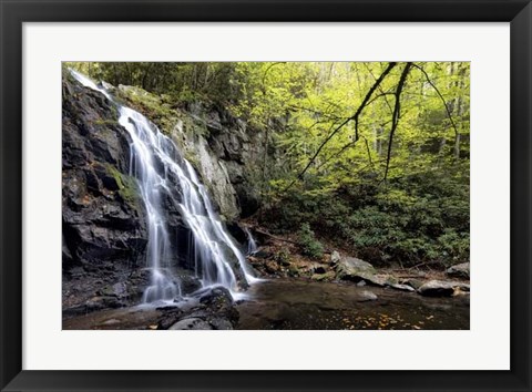 Framed Spruce Flat Falls at Morning Print