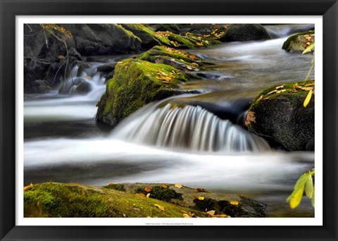 Framed Close to Nature Print