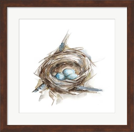 Framed Bird Nest Study II Print