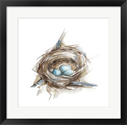 Framed Bird Nest Study II Print