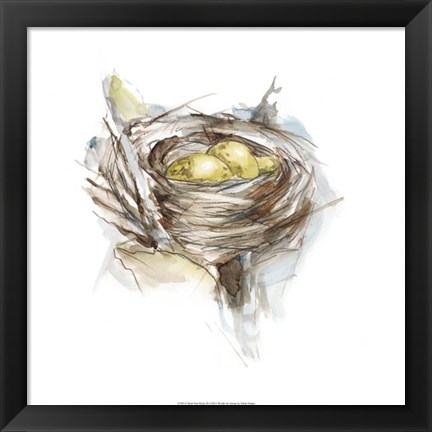 Framed Bird Nest Study III Print