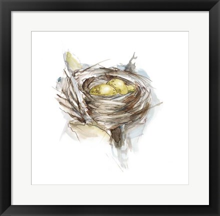 Framed Bird Nest Study III Print