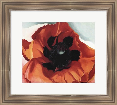 Framed Poppy Print