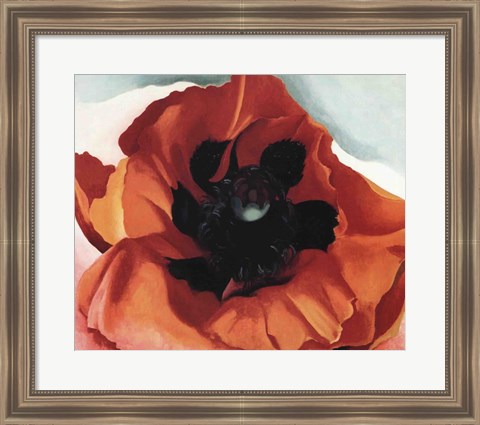 Framed Poppy Print