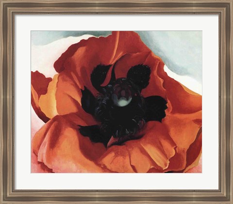 Framed Poppy Print