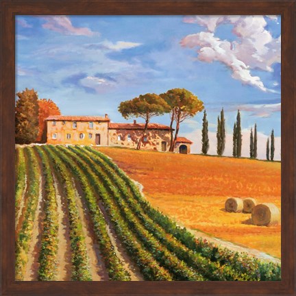 Framed Colline Toscane (Detail) Print