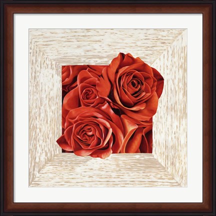 Framed French Roses I Print