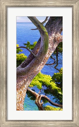 Framed Lavandou III Print