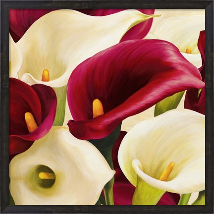 Framed Calla Composition (Detail) Print