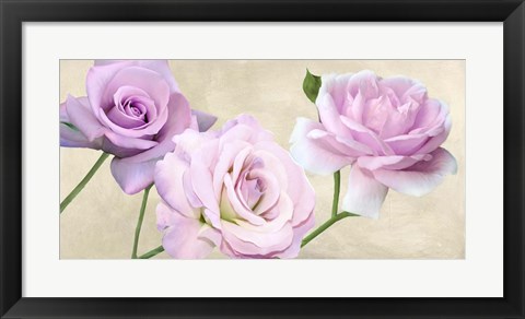 Framed Rose Classiche Print