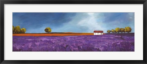 Framed Field of Lavender II Print