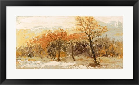 Framed Foresta I Print