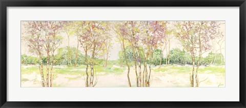 Framed Bosco di Betulle II Print