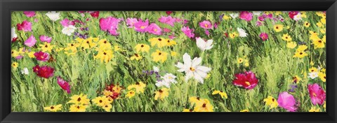 Framed Field of Flowers (Detail) Print