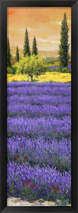 Framed Pomeriggio tra la Lavanda Print