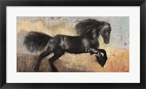 Framed Black Stallion Print