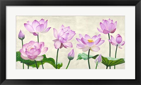 Framed Lotus Flowers Print