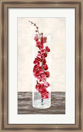Framed Arrangement of Orchids Print