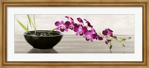 Framed Orchid Arrangement Print