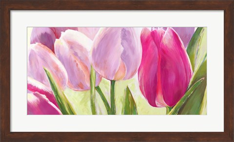 Framed Tulipes I Print