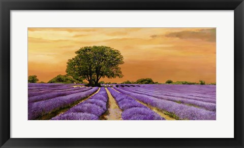 Framed Campo al Tramonto Print