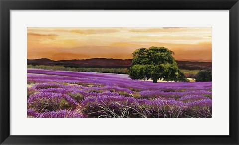 Framed Campo di Lavanda Print