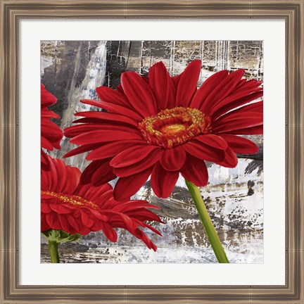 Framed Red Gerberas II Print