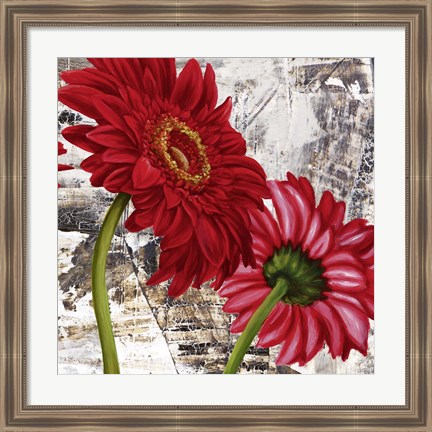 Framed Red Gerberas III Print