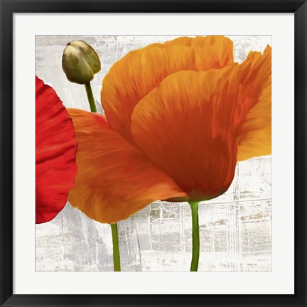 Framed Summer Poppies II Print